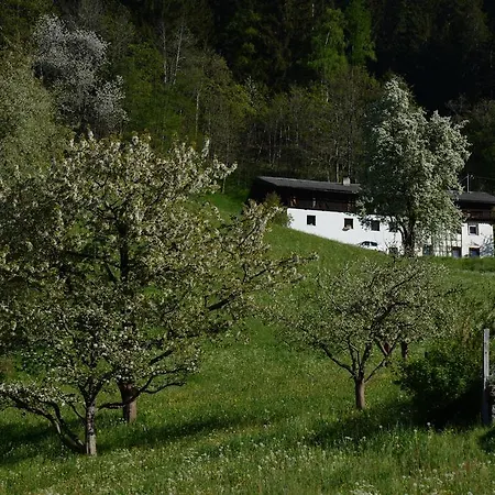Bed & Breakfast Haus Elisabeth Neustift im Stubaital