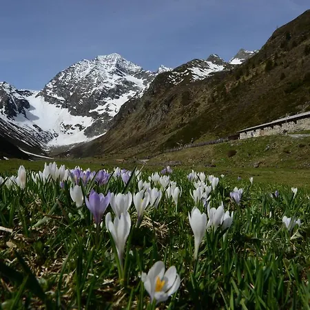 Frühstückspension Haus Elisabeth Neustift im Stubaital