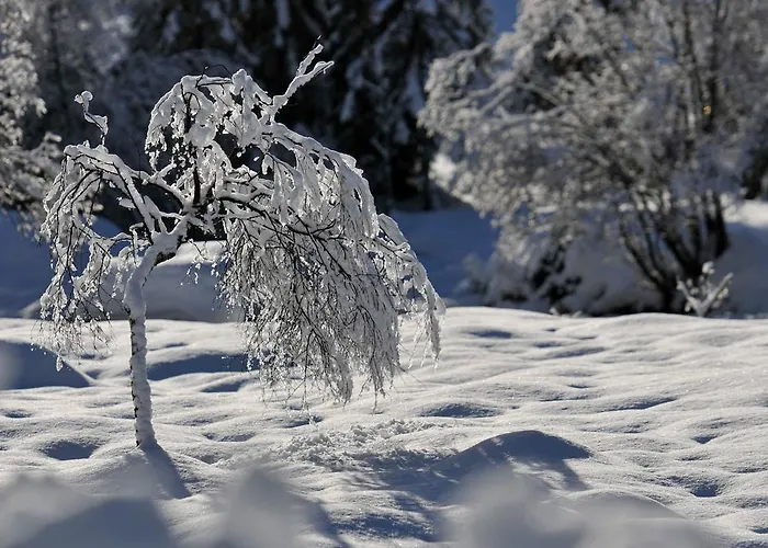 فندق مبيت وإفطار Haus Elisabeth 3*