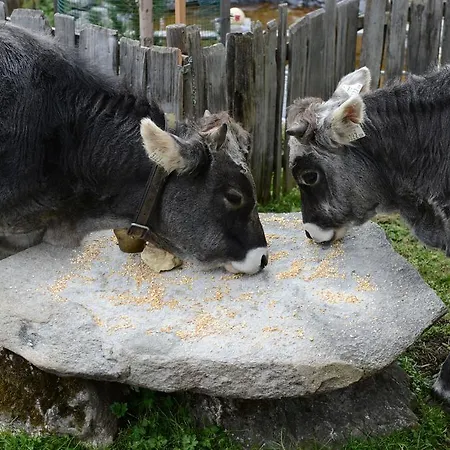 Bed & Breakfast Haus Elisabeth 3*